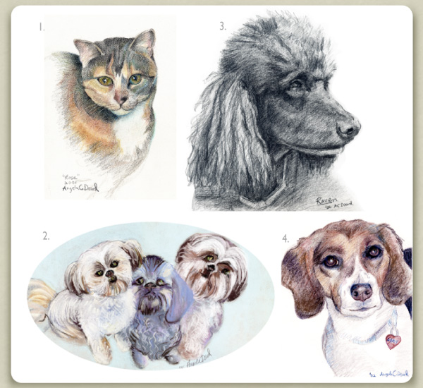Enlargement of pet portraits