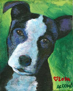 portrait of sweet pitbull puppy