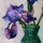 irises colored icon