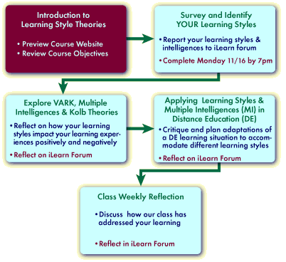 overview of learning chart highlighting itroduction to learning style theories