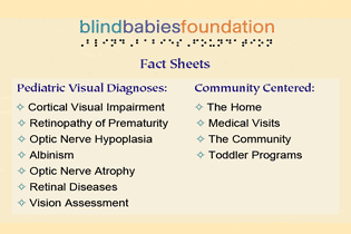 Blind Babies Foundation Fact Sheet Information