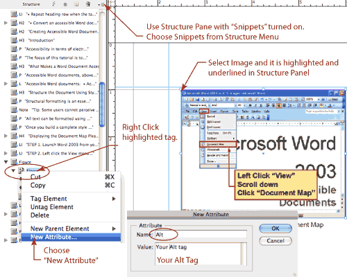 How to define attributes using InDesign's structure pane